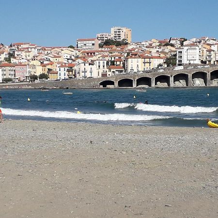 Banyuls La Grande Bleue : Studio T1 Екстериор снимка