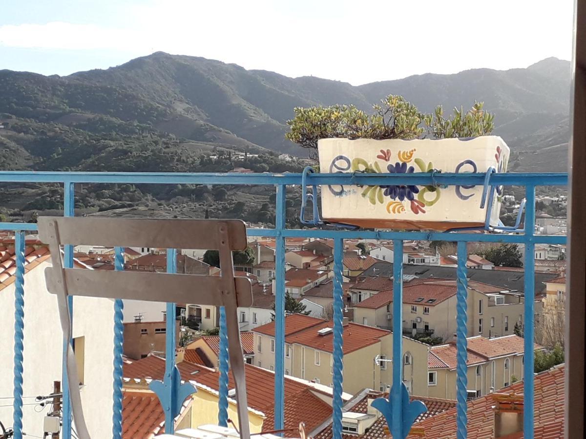 Banyuls La Grande Bleue : Studio T1 Екстериор снимка