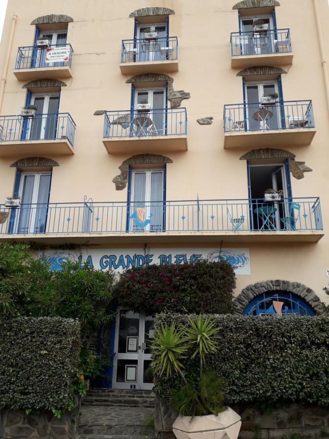 Banyuls La Grande Bleue : Studio T1 Екстериор снимка