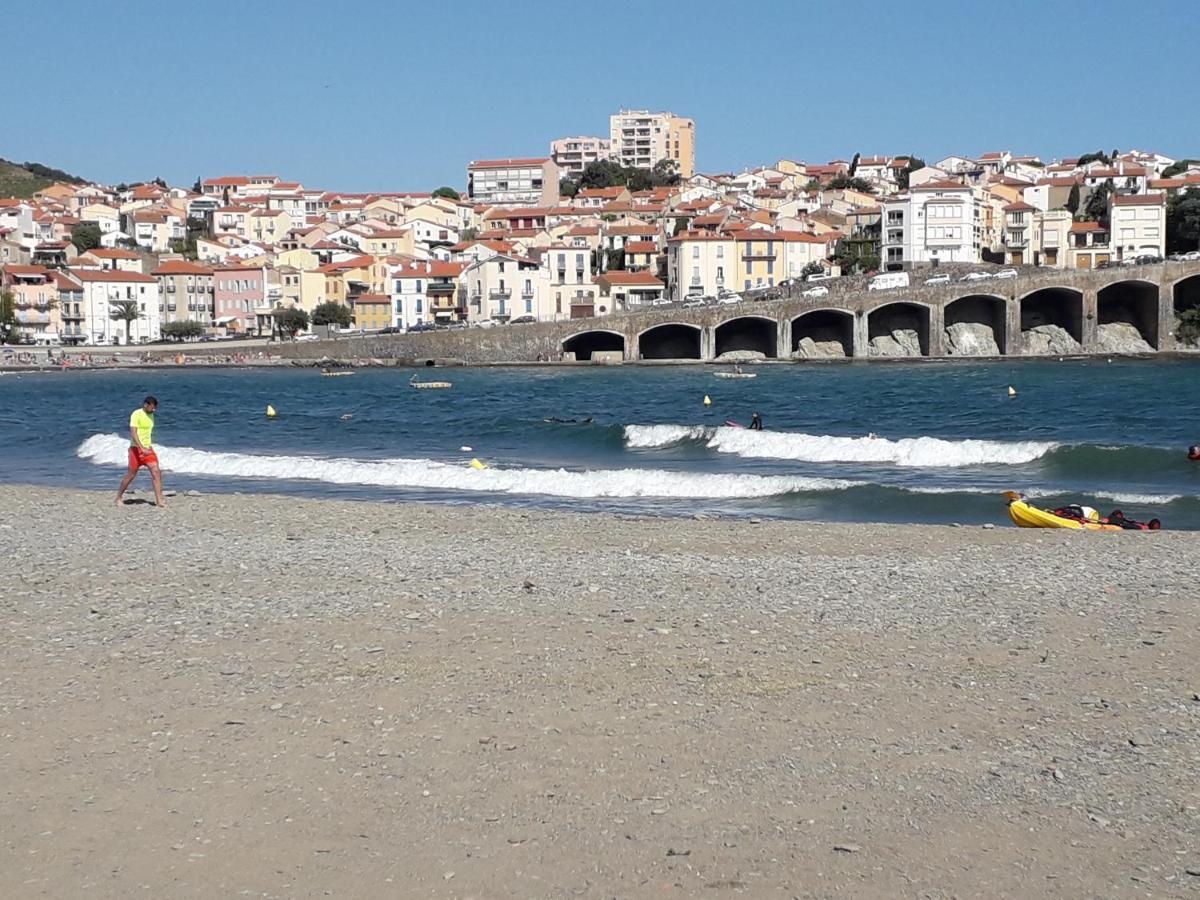 Banyuls La Grande Bleue : Studio T1 Екстериор снимка