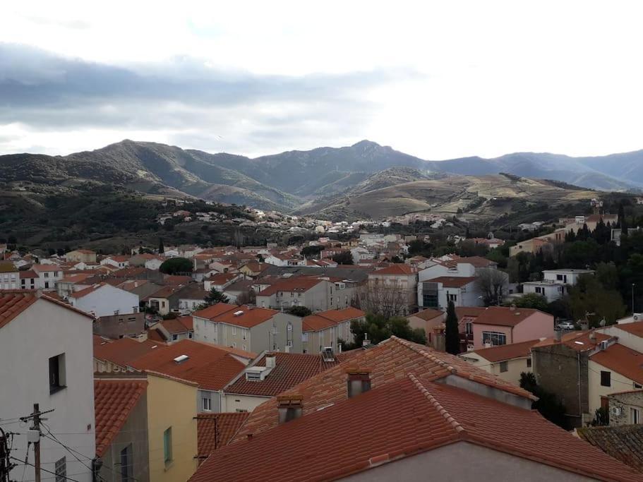 Banyuls La Grande Bleue : Studio T1 Екстериор снимка