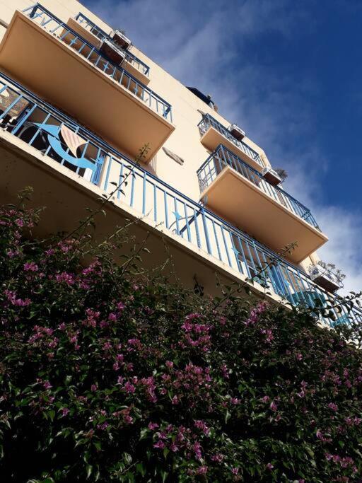 Banyuls La Grande Bleue : Studio T1 Екстериор снимка
