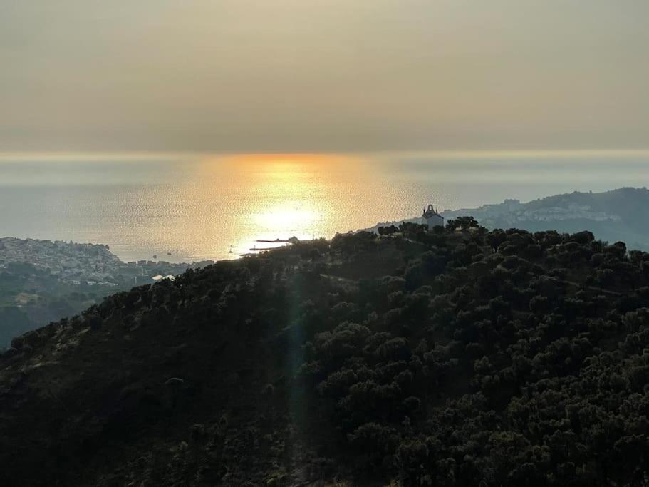 Banyuls La Grande Bleue : Studio T1 Екстериор снимка
