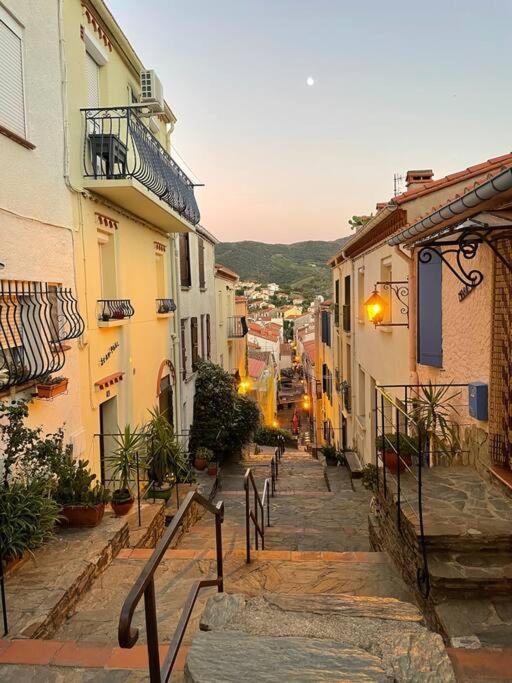 Banyuls La Grande Bleue : Studio T1 Екстериор снимка