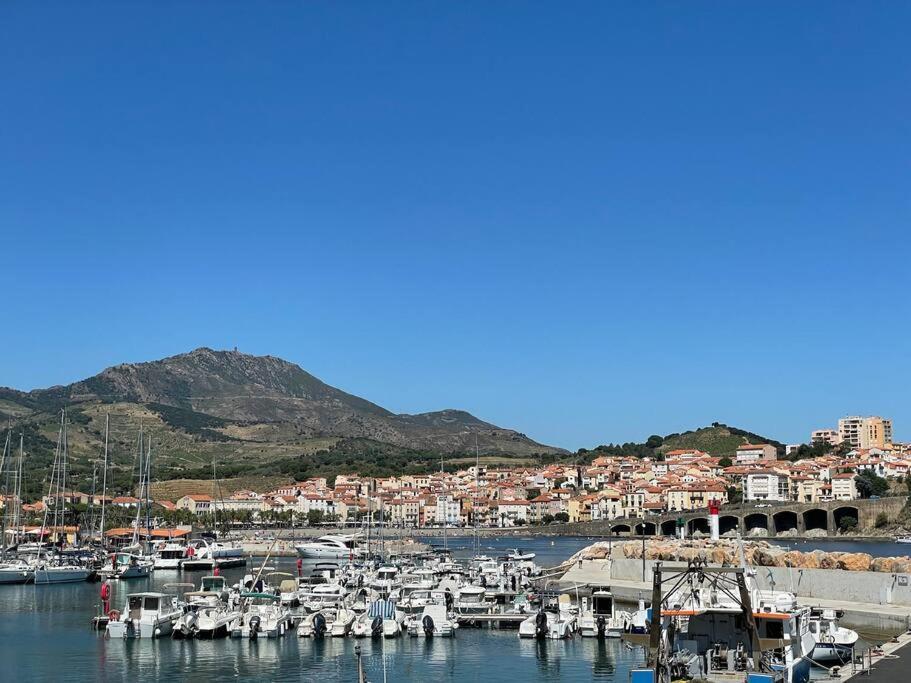 Banyuls La Grande Bleue : Studio T1 Екстериор снимка